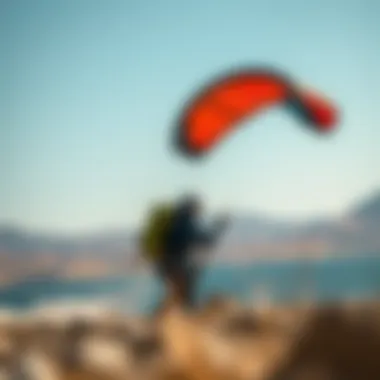 Magnificent An In-depth Exploration of Kite Bags for Sale Magnificent An In-depth Exploration of Kite Bags for Sale