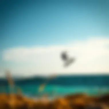 Magnificent Exploring Jalama Bay: A Hidden Gem for Kiteboarding Enthusiasts