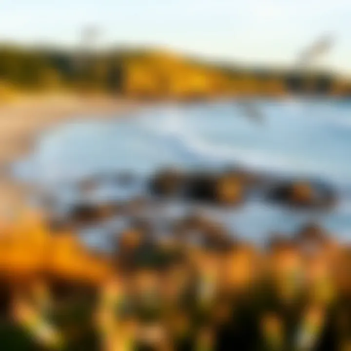 Magnificent Exploring the Beaches of Bodega Bay: A Comprehensive Guide