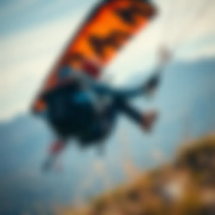 Magnificent Kite Harness Sale: Understanding Significance, Selection, and Trends