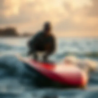 Magnificent The Electric Body Surf Board: Unraveling a New Wave in Water Sports Magnificent The Electric Body Surf Board: Unraveling a New Wave in Water Sports