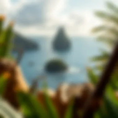 Magnificent The Role of Coconut in St. Lucia: Cultural Significance and Economic Impact Magnificent The Role of Coconut in St. Lucia: Cultural Significance and Economic Impact