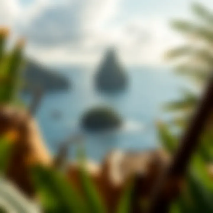 Magnificent The Role of Coconut in St. Lucia: Cultural Significance and Economic Impact Magnificent The Role of Coconut in St. Lucia: Cultural Significance and Economic Impact