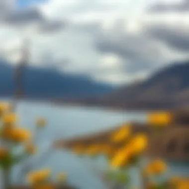 Magnificent Understanding Lake Isabella Weather: A Comprehensive Overview Magnificent Understanding Lake Isabella Weather: A Comprehensive Overview