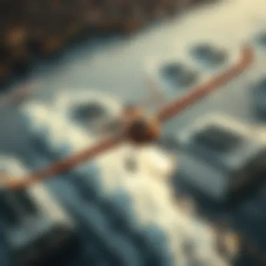 Notable An In-depth Exploration of Wing Crafts