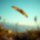 Kite soaring gracefully in low wind