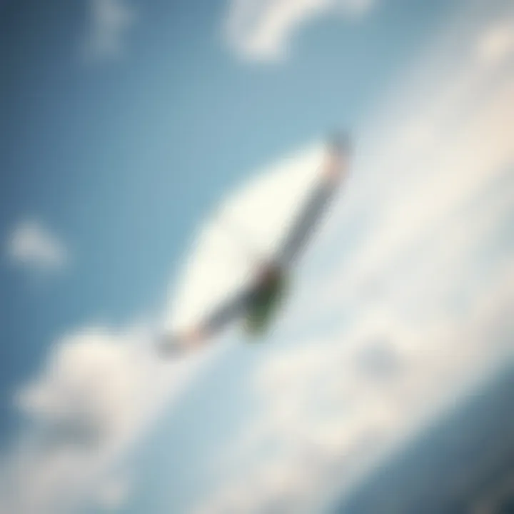 Blank kite soaring in the sky showcasing versatility