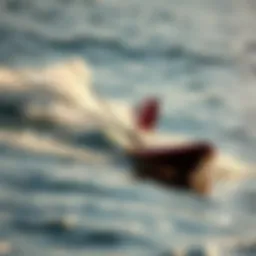 Electric foil board gliding over the water