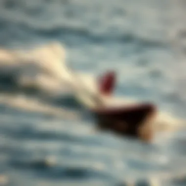 Electric foil board gliding over the water