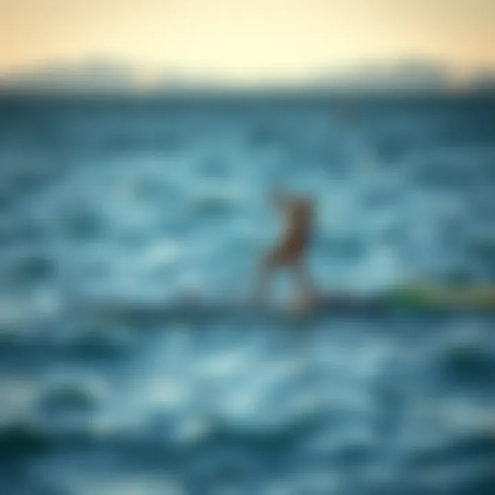 Inflatable SUP Foil Board in Action An action shot of an individual using an inflatable SUP foil board on calm waters.
