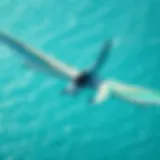 An aerial view of a stunning efoil gliding over clear blue waters.