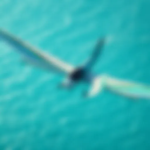 An aerial view of a stunning efoil gliding over clear blue waters.