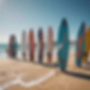 A variety of kitesurfing boards displayed on a beach