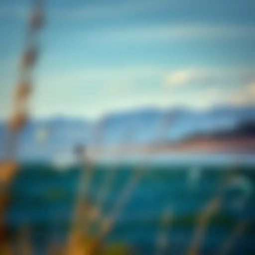 Boundary Bay Kiteboarding Landscape A breathtaking view of Boundary Bay showcasing its expansive water and shorelines, perfect for kiteboarding.