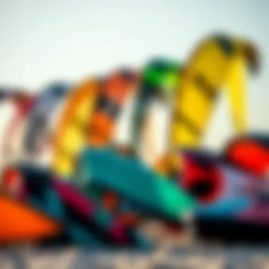 Diverse Collection of Duotone Kites Range of duotone kites displayed on the beach