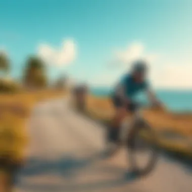 Cycling Adventures in Miami Cycling along Miami's stunning coastal paths