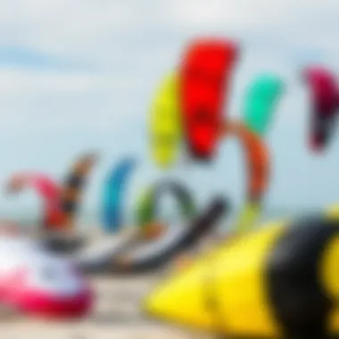 Diverse Collection of Four-Line Trainer Kites on the Shore Various four-line trainer kites displayed on a beach setting