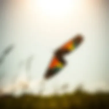 Agile Four-Line Trainer Kite in Action Dynamic four-line trainer kite in flight showcasing agility