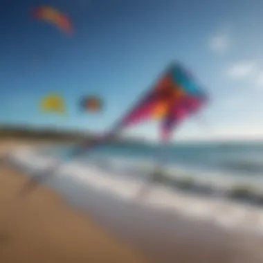 Different types of hydro foil kites displayed on a beach setting
