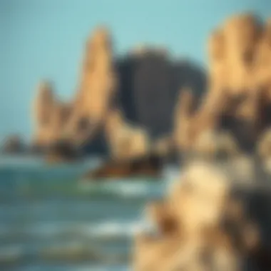 Geological Formations of Jax Geological formations along the Jax tide waters