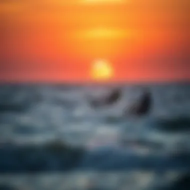 Sunset Kite Surfing Session in Charleston Kite surfers enjoying a sunset session in Charleston