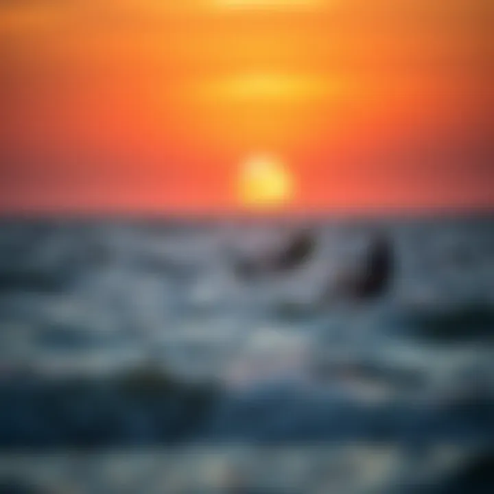 Sunset Kite Surfing Session in Charleston Kite surfers enjoying a sunset session in Charleston