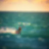 Exploring Liquid Force Kites: Innovations in Kiteboarding Introduction