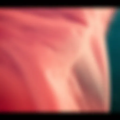 Aluula Material Texture and Durability Close-up of Aluula material showcasing its texture and durability