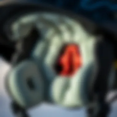 Comfort Features of the Predator Skate Helmet Close-up on the comfort features and padding of the helmet