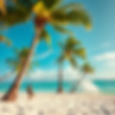 Serene Beach Paradise in Providenciales Scenic beach with palm trees, ideal for relaxation and adventure seekers