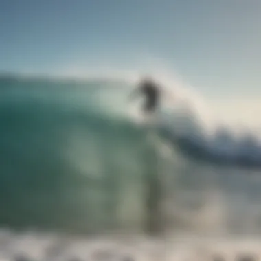 A group of surfers enjoying the waves together