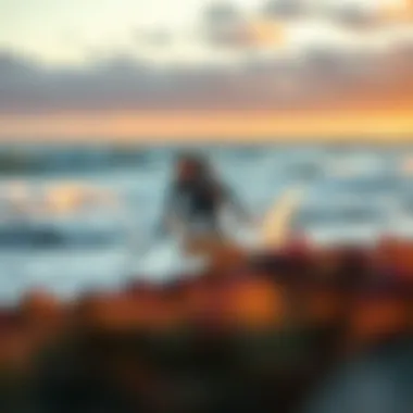 Exploring the Beaches of Bodega Bay: A Comprehensive Guide Introduction