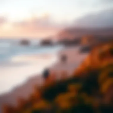 Exploring the Beaches of Bodega Bay: A Comprehensive Guide Summary