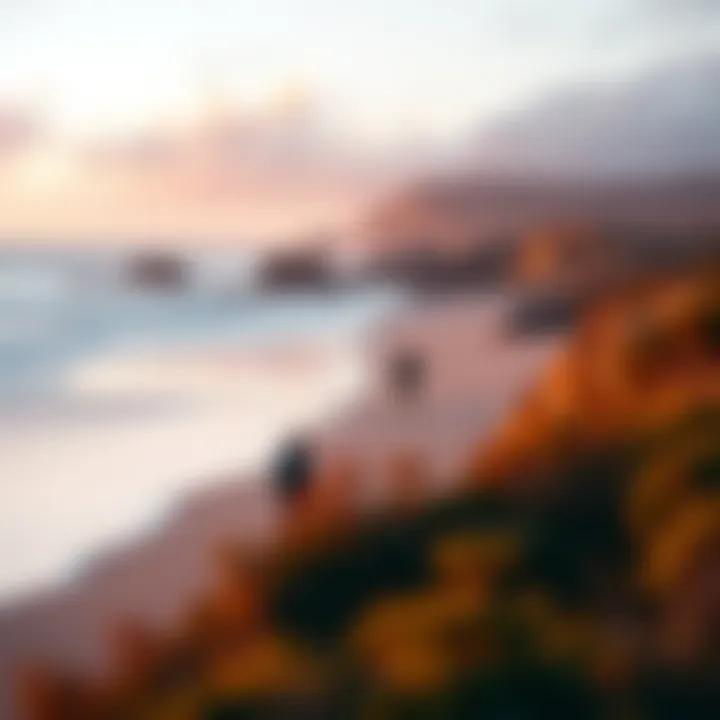 Exploring the Beaches of Bodega Bay: A Comprehensive Guide Summary