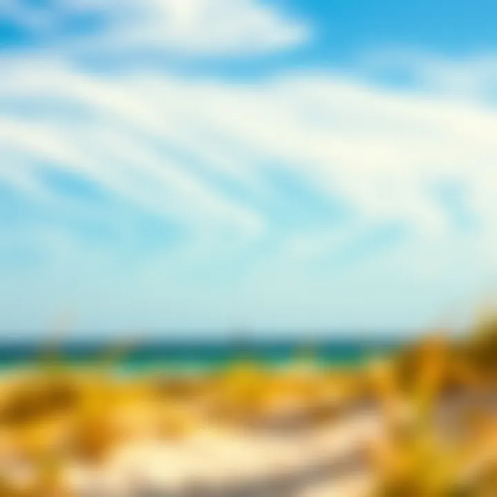 Scenic view of Ponce Inlet showcasing ideal wind conditions