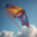 Detailed view of a flexi foil kite showcasing its unique design elements.