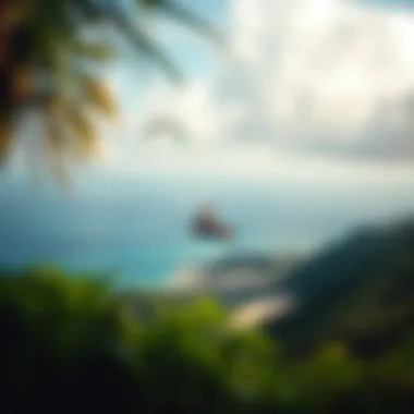 Breathtaking Scenery of the Mariana Islands Scenic landscape of the Mariana Islands with lush greenery