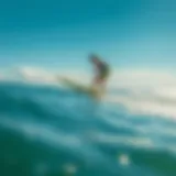 Hydrofoil Surfboard in Action Hydrofoil surfboard gliding over clear waters