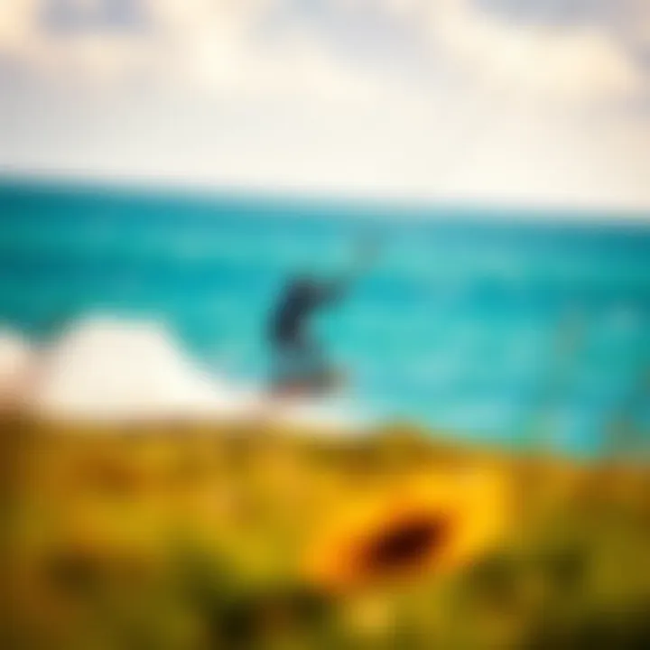 Harnessing the Power of Ion: Exploring Innovative Kiteboarding Technology Summary