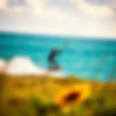 Harnessing the Power of Ion: Exploring Innovative Kiteboarding Technology Summary Harnessing the Power of Ion: Exploring Innovative Kiteboarding Technology Summary