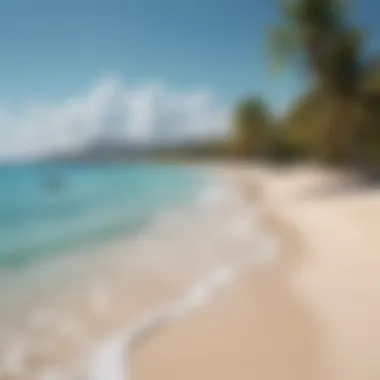 The Stunning Seven Mile Beach Breathtaking view of Seven Mile Beach