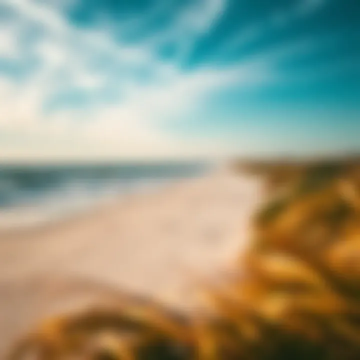 Scenic view of Jekyll Island beach with wind patterns