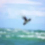 A kiteboarder performing a jump over the ocean waves