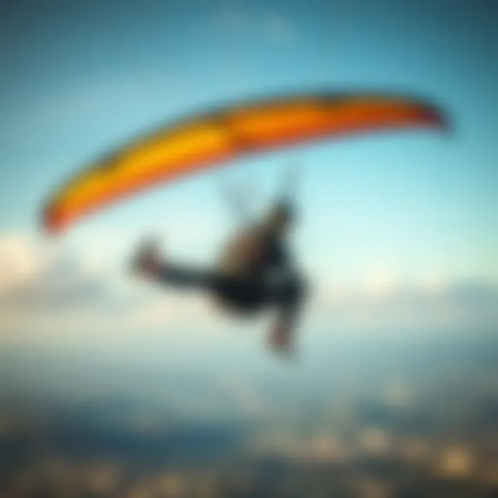 Notable Kite Harness Sale: Understanding Significance, Selection, and Trends