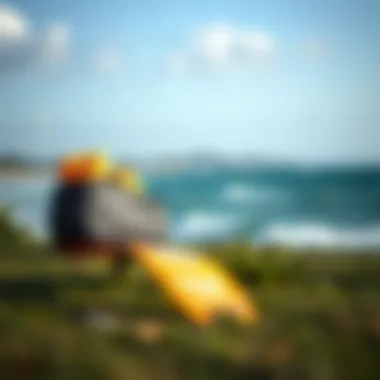 Lightweight Kiteboard Bag for Effortless Travel Lightweight kiteboard bag for easy transport