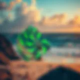 Analyzing Wind Patterns for Kiteboarding Detailed radar image showing wind patterns