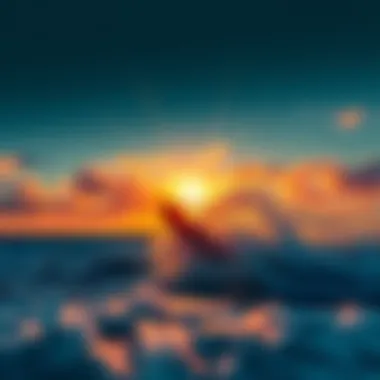 Current Wind Conditions for Optimal Kiteboarding Real-time wind conditions impacting kiteboarding