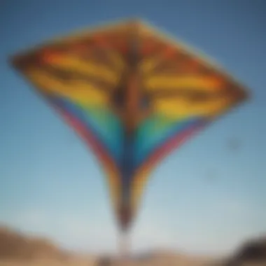 Close-up of a Naish kite showcasing design details