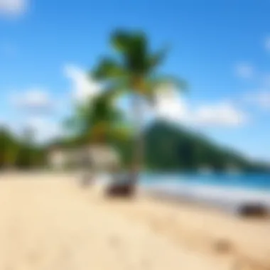 Breathtaking Beachfront at Coconut Bay A stunning view of Coconut Bay St. Lucia's beachfront