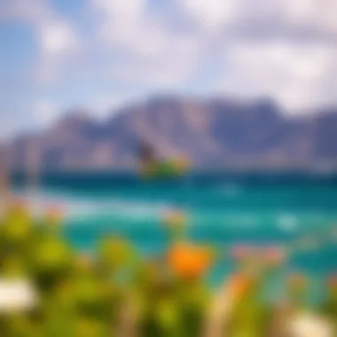 Oahu Wind Forecast: Essential Insights for Kiteboarding Enthusiasts Summary Oahu Wind Forecast: Essential Insights for Kiteboarding Enthusiasts Summary